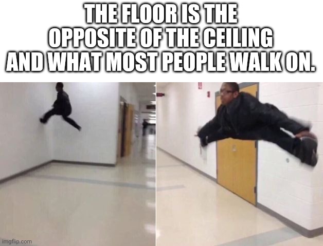 The floor is Imgflip