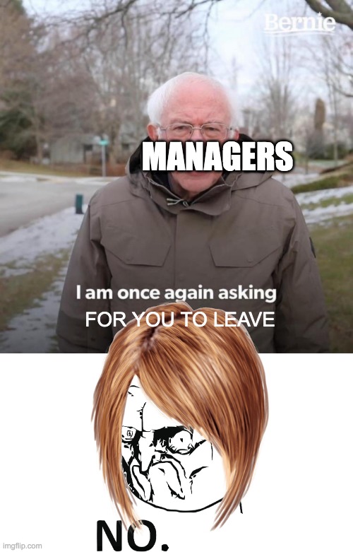 Bernie Meme I Am No Longer Asking 25+ Best Memes About Economics