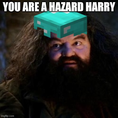 Image tagged in hagrid Imgflip