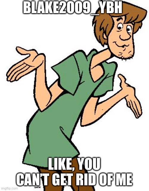 Shaggy from Scooby Doo Imgflip