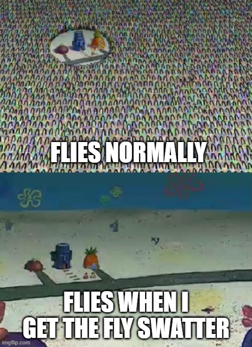 Darn flies Imgflip