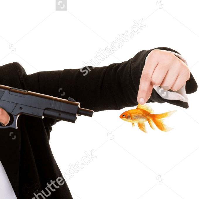 Goldfish Gun Blank Template Imgflip