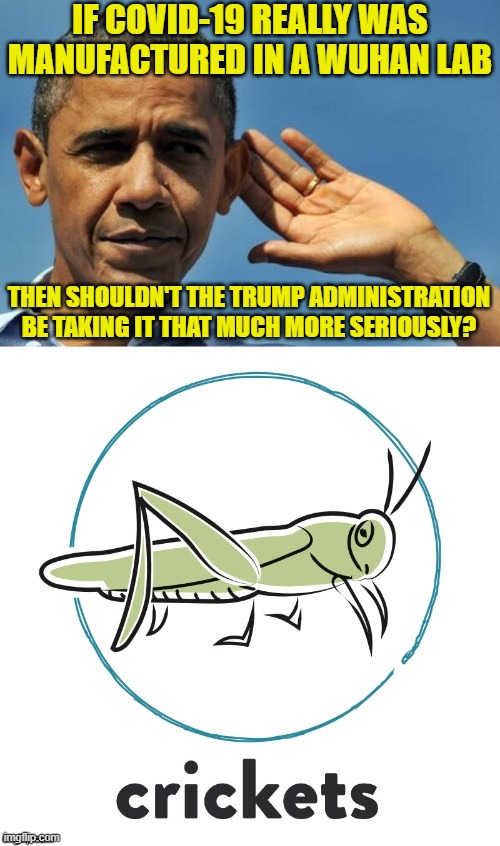 But they're really not, are they? Things that make you go hmmm Imgflip