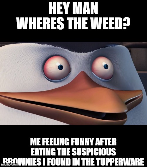 Shook Skipper Imgflip