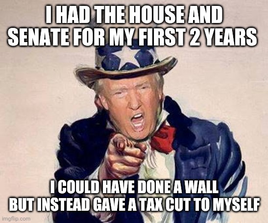 Image tagged in trump uncle sam Imgflip