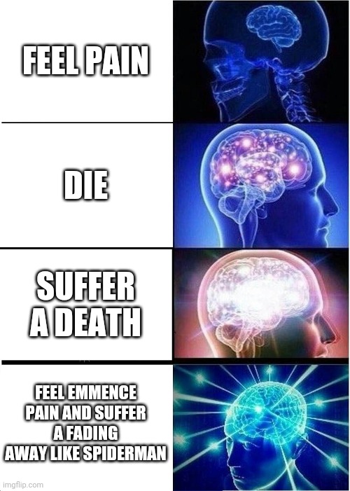 Expanding Brain Meme Imgflip