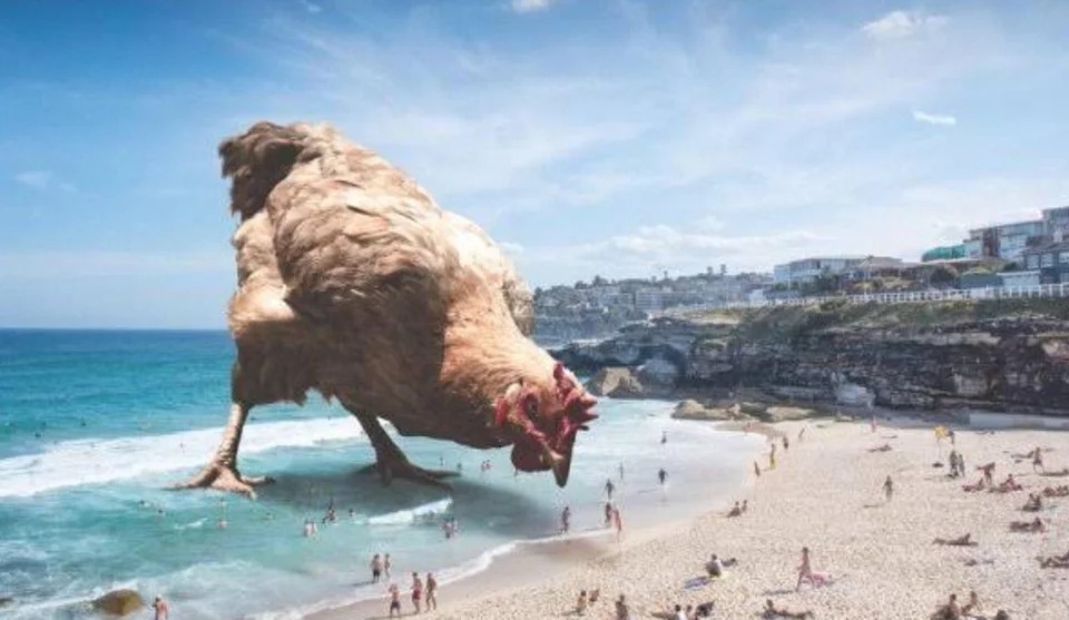 Giant Chicken at the Beach Memes Imgflip