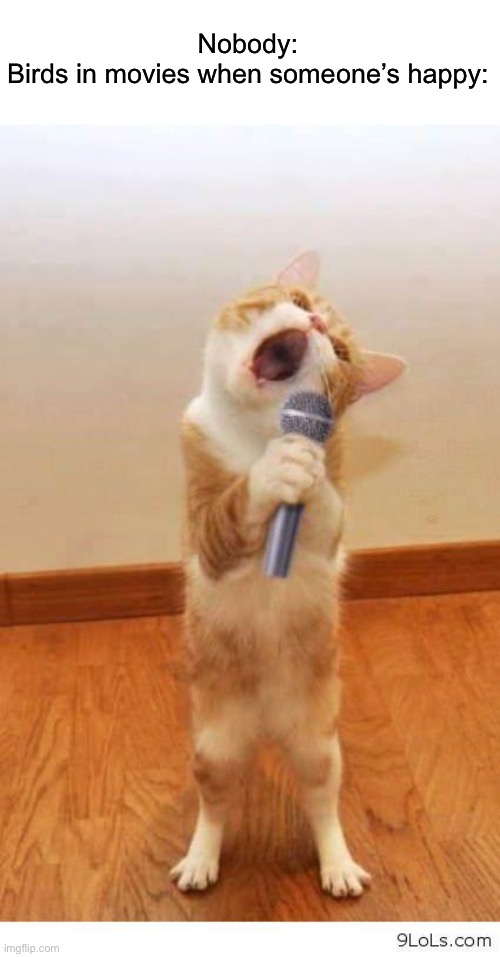 Cat Singer Imgflip