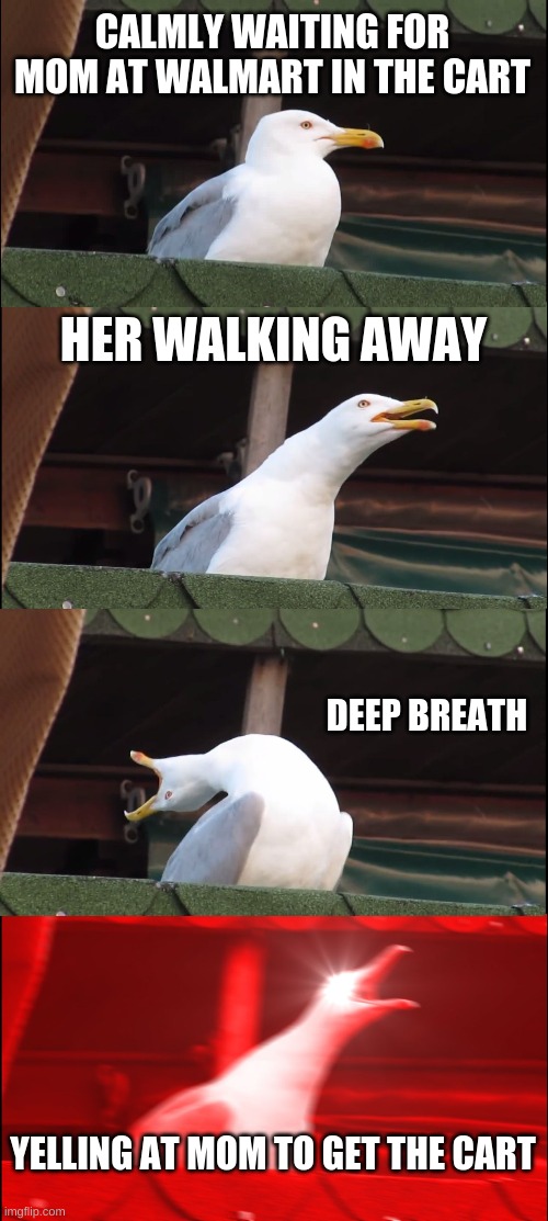 The yelling bird Imgflip