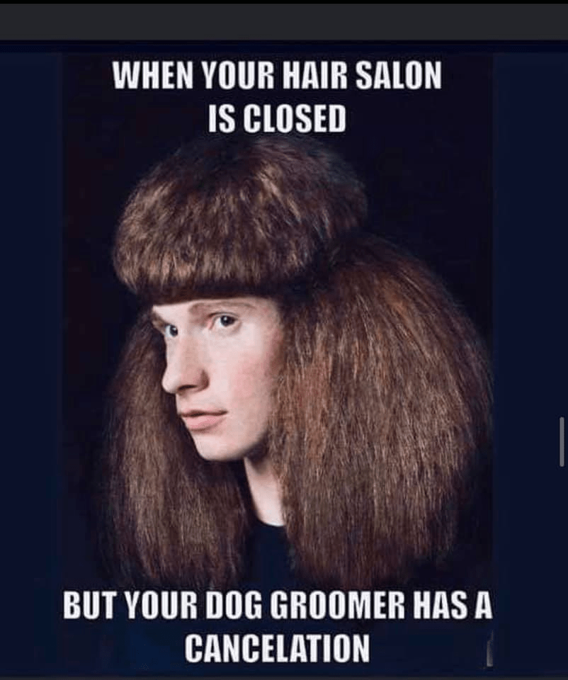bad hair day Memes Imgflip