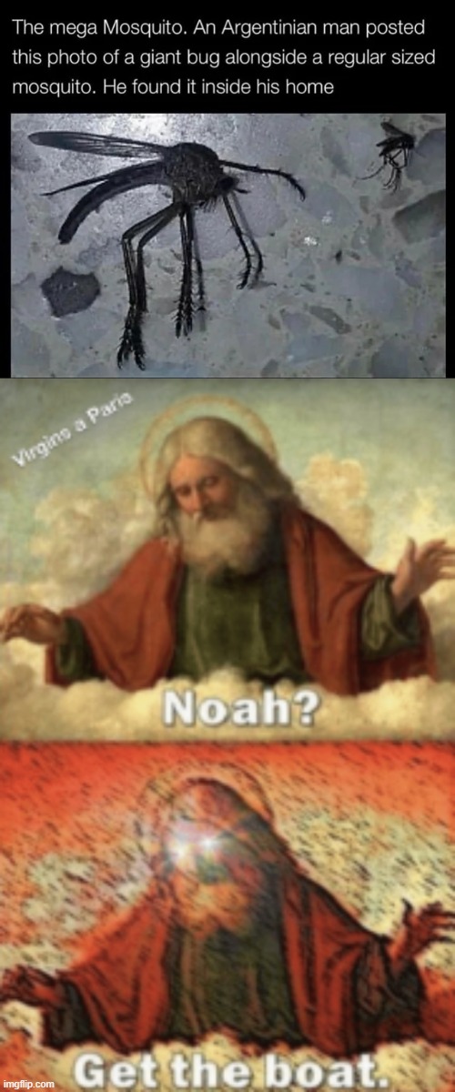 GET THE BOAT Imgflip