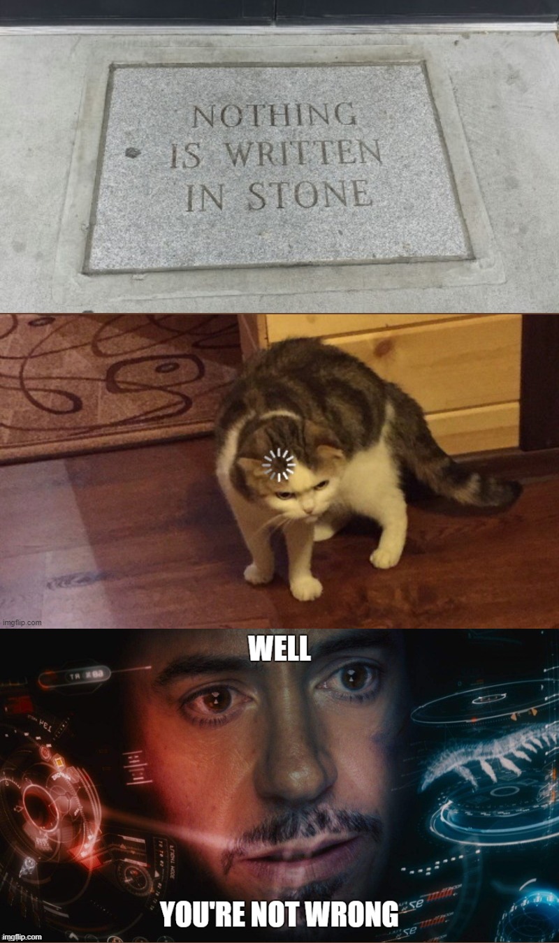 Image tagged in buffering cat Imgflip