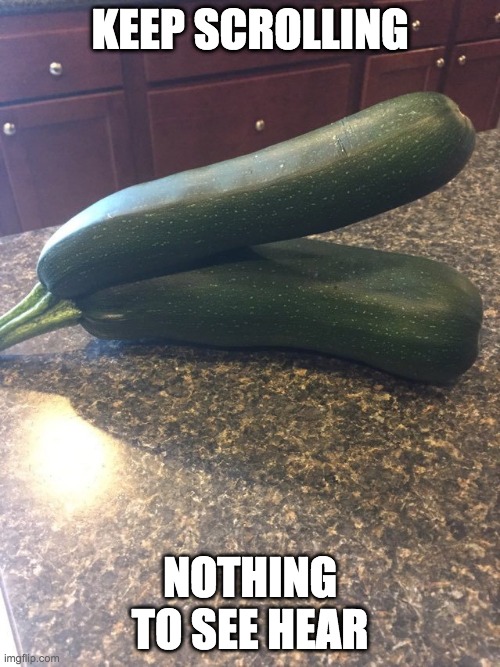 Zucchini Imgflip