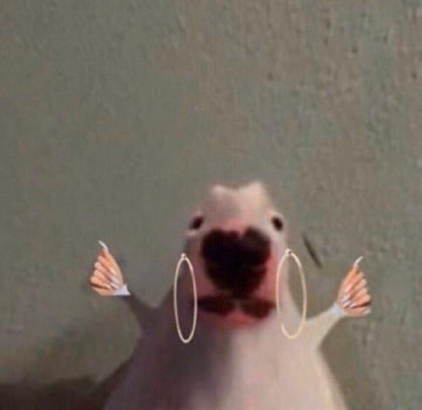 Walter with Acrylic Nails Memes Imgflip