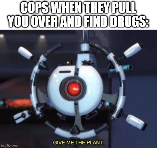 walle Memes & GIFs Imgflip
