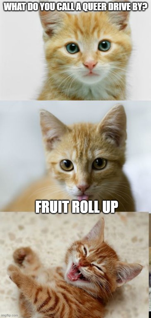 Bad Pun Cat Imgflip