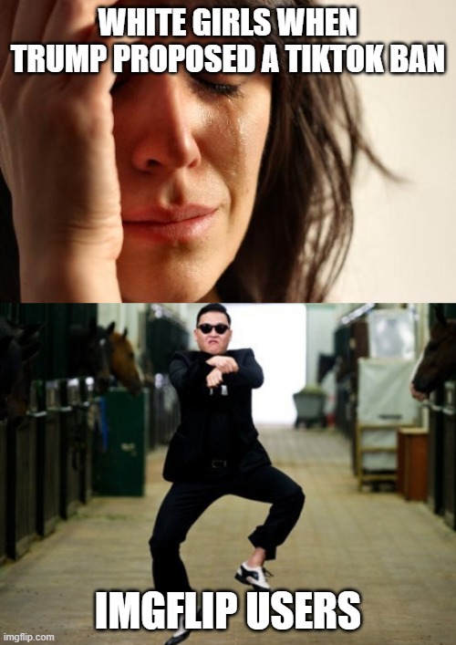 Image tagged in memes,first world problems,tiktok,ban,funny,white girls Imgflip