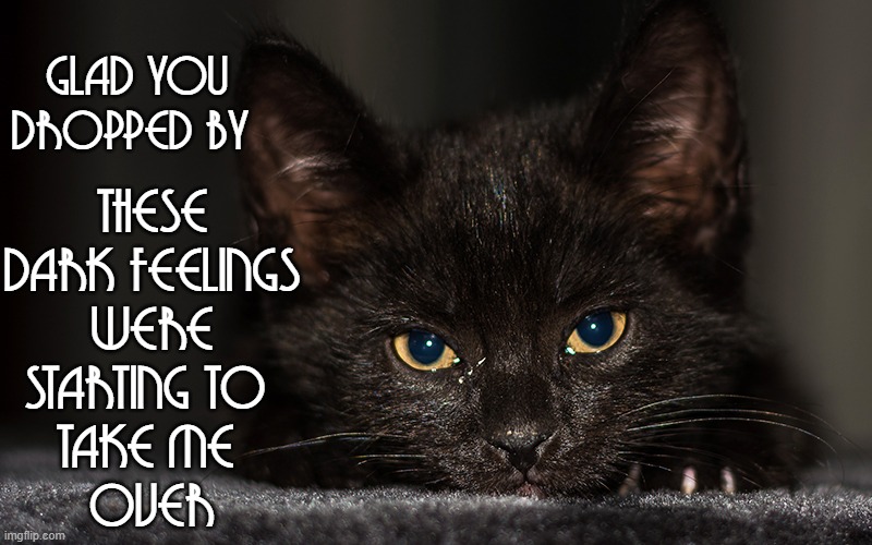Black Cat Thoughts Imgflip
