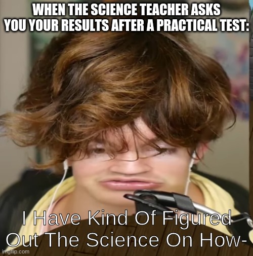 Random Flamingo Meme. Imgflip