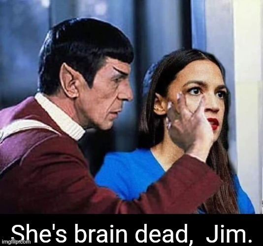 She's brain dead, Jim. Imgflip