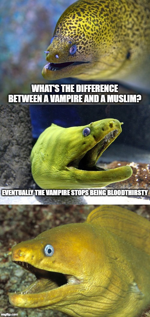 jokes Memes & GIFs Imgflip