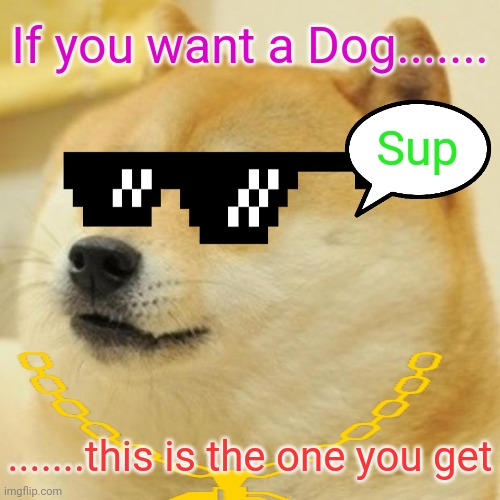Swag Doge Imgflip