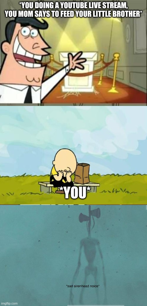 Image tagged in memes,this is where i'd put my trophy if i had one,sad