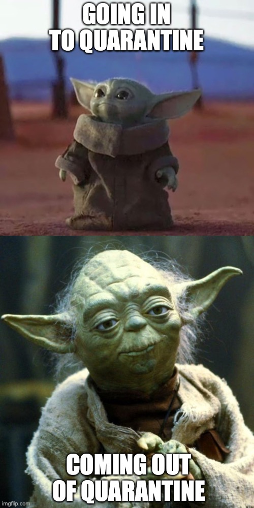 Image tagged in baby yoda Imgflip