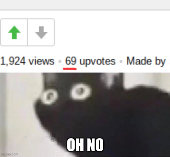 Image tagged in oh no black cat,memes,upvotes,69,69 upvotes,oh no Imgflip