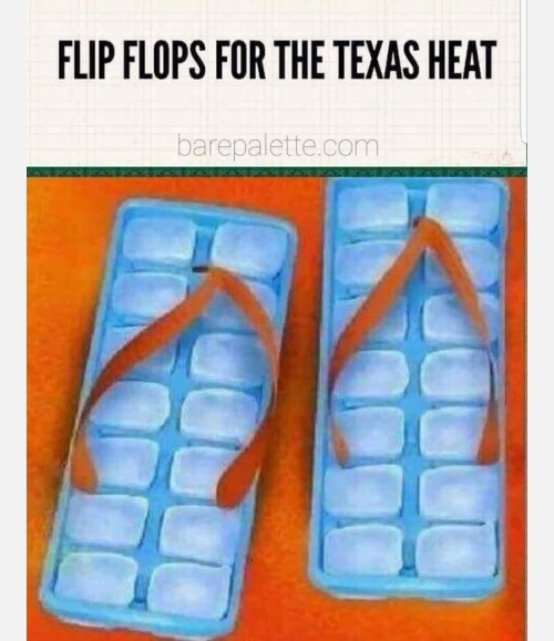 Flip Flops Imgflip