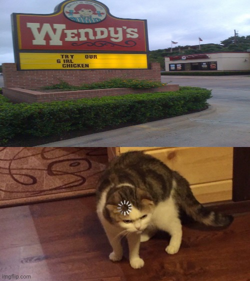 Wait what Wendy's restaurant sign; Try our Girl chicken Imgflip