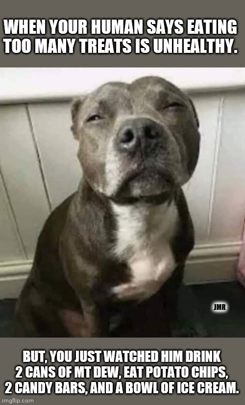 Can You Give A Puppy Too Many Treats