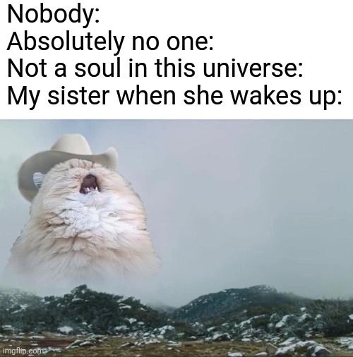 Screaming Cowboy Cat Memes Imgflip