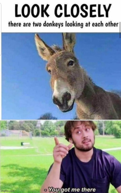 IVE BEEN BABOOZLED Imgflip