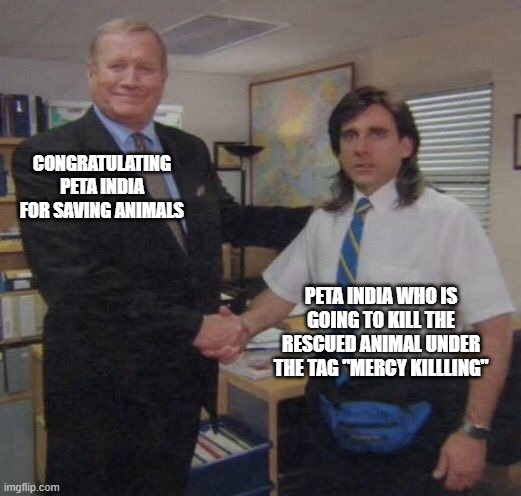 the office congratulations Imgflip
