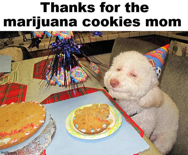 marijuana Memes & GIFs Imgflip