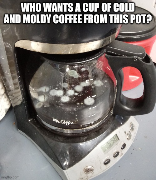 moldy coffee Imgflip