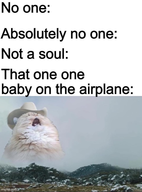 Screaming Cowboy Cat Memes Imgflip