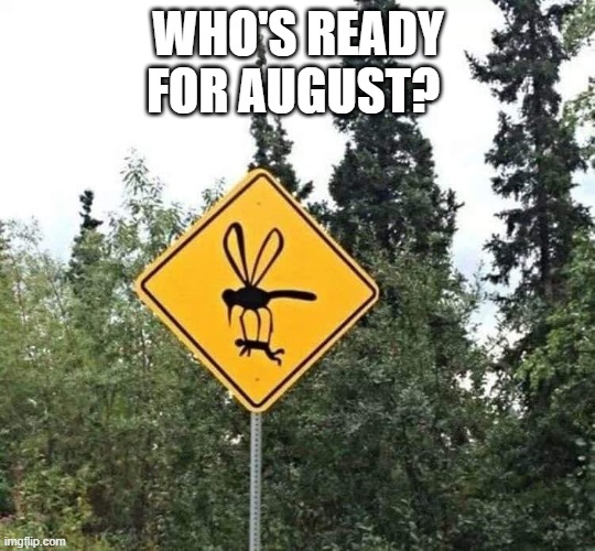 Happy August! Imgflip