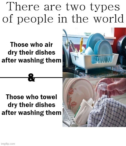 Two Types Of People In The World Air Dry Or Towel Dry Dishes Imgflip