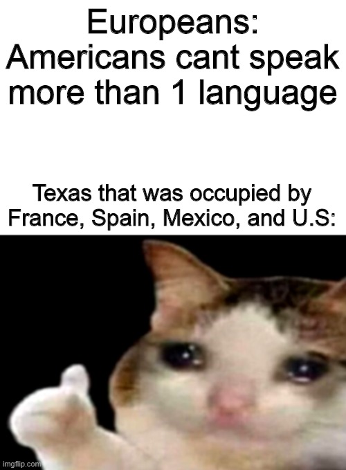 sad cat thumbs up white spacing Imgflip