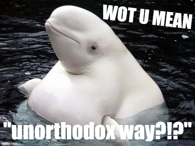 using blowholes isn't unorthodox to him! lmfao Imgflip