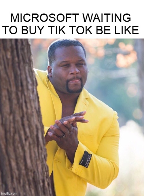 i wish tik tok would just get banned already Imgflip