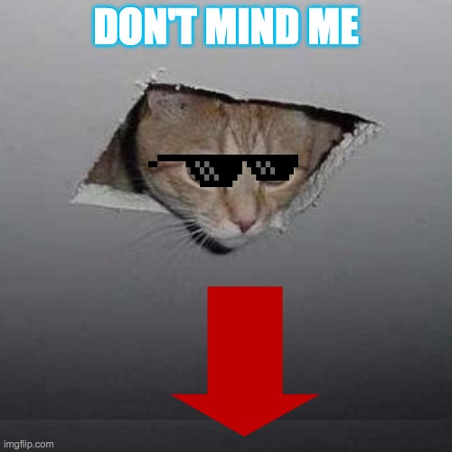 Ceiling Cat Meme Imgflip