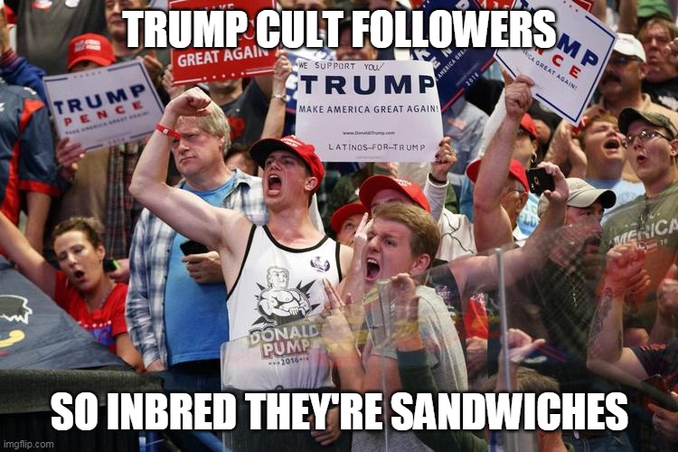 It takes an idiot to raise a Trump supporter Imgflip