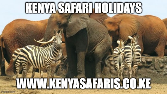 Kenya Safari Holidays Imgflip