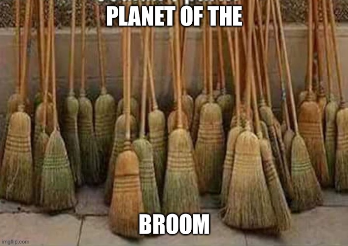 broom Memes Imgflip