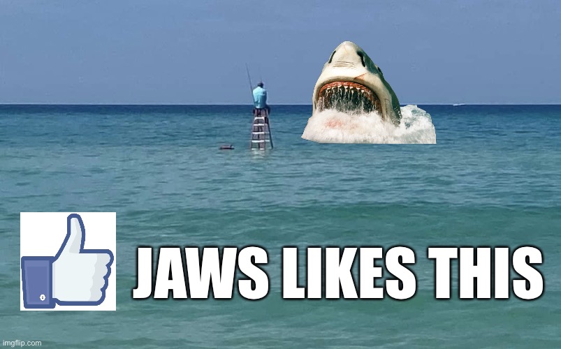 Jaws Likes This Imgflip