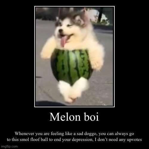 Melon boi Imgflip