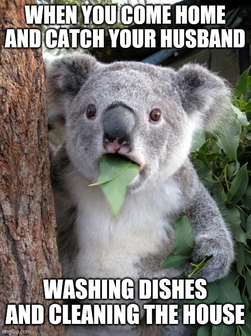 Surprised wife Imgflip